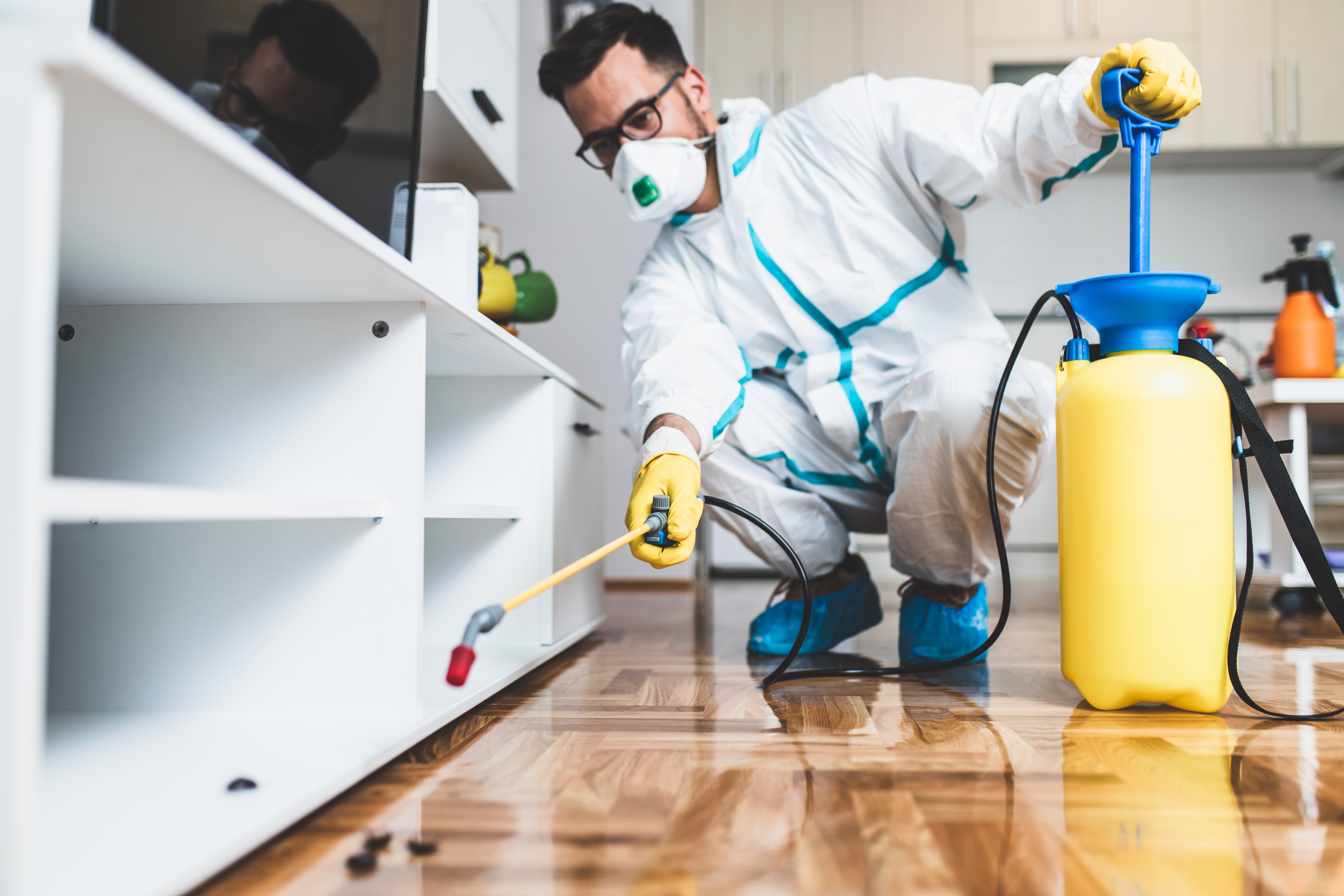 1912606090 Exterminator in work wear spraying pesticide with sprayer. Selective focus.